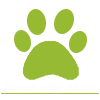 assuremonchien