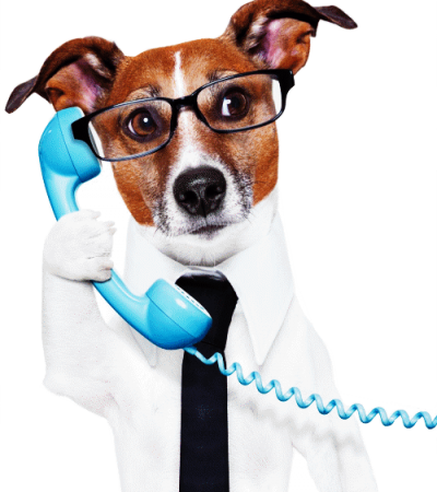 NOUS CONTACTER