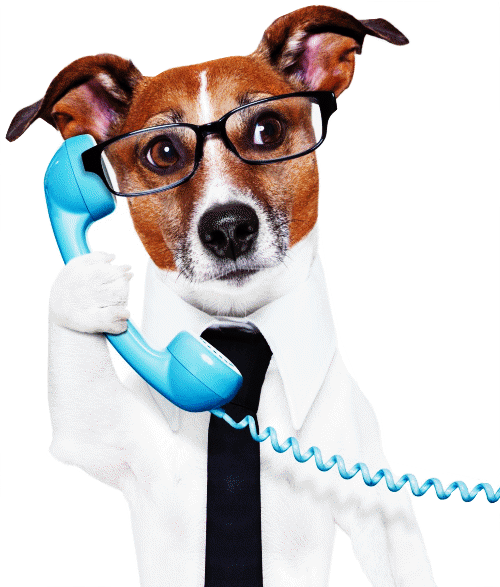 NOUS CONTACTER